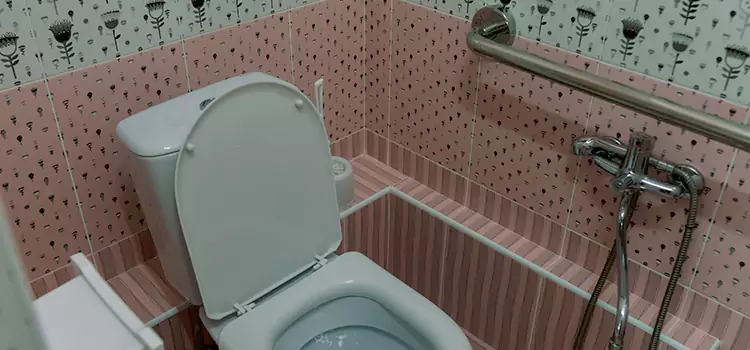 Meeting Diverse Needs With Accessible Restroom Solutions in Machesney Park, IL