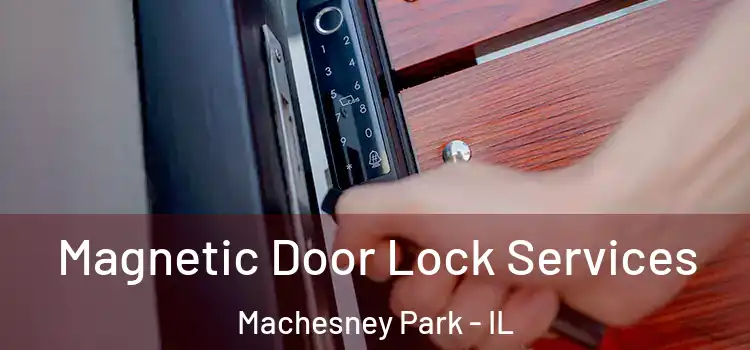 Magnetic Door Lock Services Machesney Park - IL