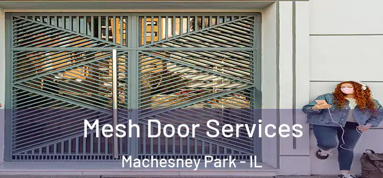 Mesh Door Services Machesney Park - IL