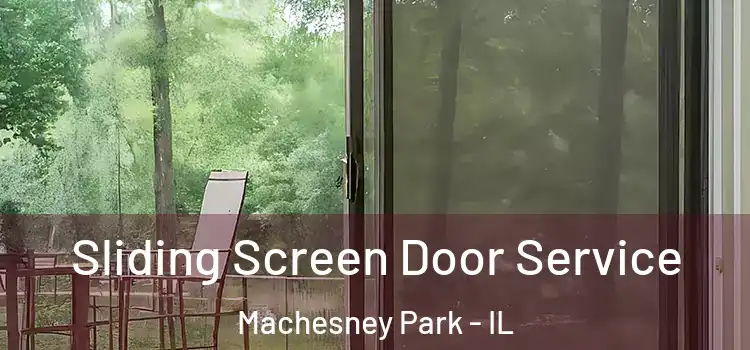 Sliding Screen Door Service Machesney Park - IL